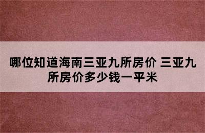 哪位知道海南三亚九所房价 三亚九所房价多少钱一平米